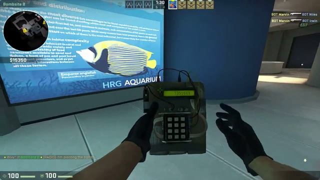 CS:GO - StatTrak™ MAC-10 | Curse Factory New - Showcase смотреть онлайн