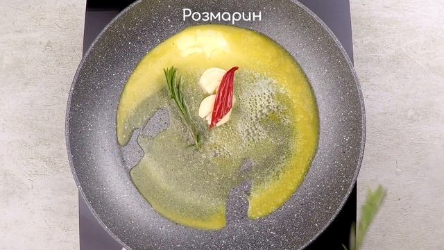 thumb-Морской петушок Вонголе в раковине живой ~500г-5}