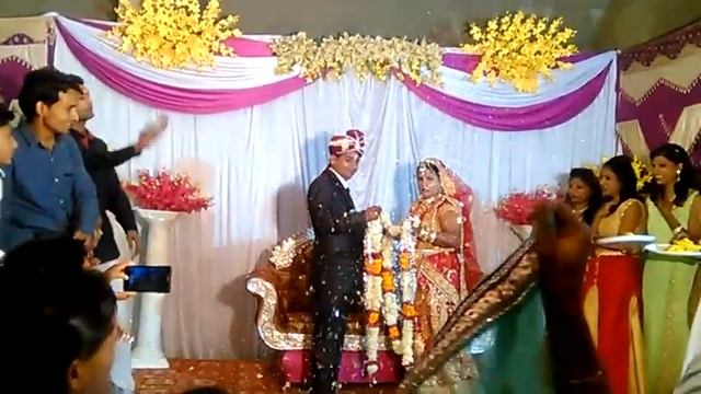 My little friend Reception 16-nov-2016 Bhawani mandi смотреть онлайн