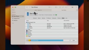 How to Install LUTs onto the Blackmagic Camera App
