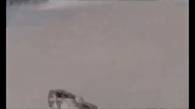 Кавказ и МЫ!!! смотреть онлайн