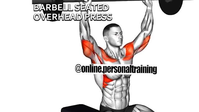 BARBELL SEATED OVERHEAD PRESS смотреть онлайн