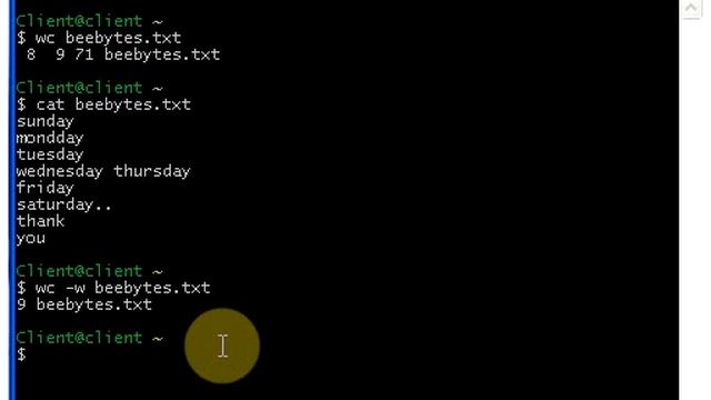 Unix Commands - 03 - Working with WC command and FILE command смотреть онлайн