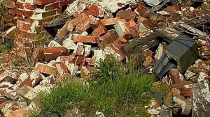 BBC. Твои весёлые друзья зверята 39 серия (документальный сериал, 2004-2009)