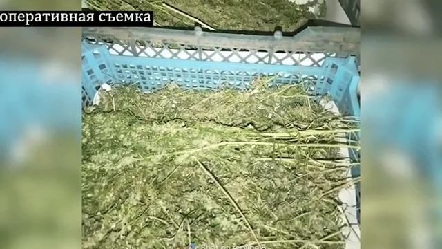 Луганские полицейские пресекли незаконную деятельность 49-летнего мужчины смотреть онлайн