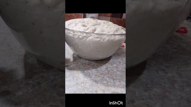 Светлана Перекрестова