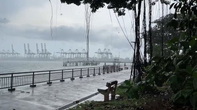 Heavy Rain - Labrador Park, Singapore [Live] смотреть онлайн