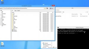 How to use System Extractor