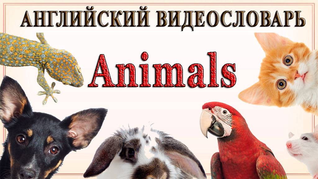 Английский видеословарь «1000 нужных слов». Тема: "Животные". смотреть онлайн