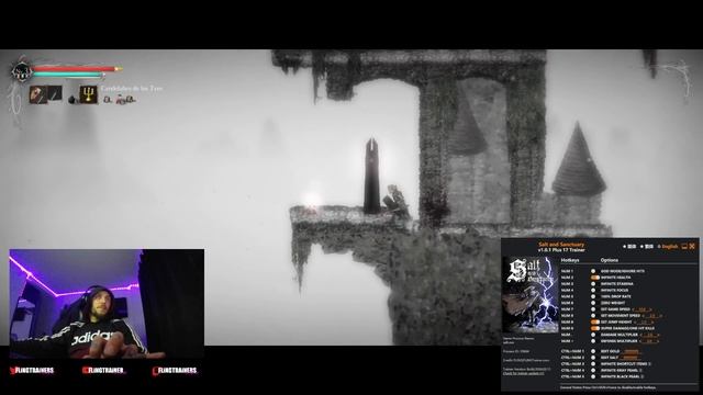 Salt and Sanctuary Trainer - FLiNG | FLiNGTRAiNER смотреть онлайн