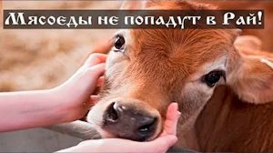 Почему те, кто ест мясо, не попадут в Рай