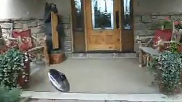 Flying Saucer cought on video right outside my front door. Now there is proof about UFO's смотреть онлайн