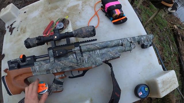 AEA PCP Challenger .25 Caliber DIY Cast SLUGS 48gr BT AIR Rifle Gun Mod NOE MOULDS .251 Boat Tail смотреть онлайн