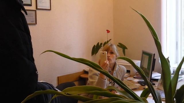 Роддом г.Черкассы, Украина 18.12.2014г. Часть 1. смотреть онлайн