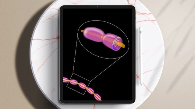 The Anatomy of the Neuron | Procreate Timelapse | Art and Anatomy | Jennmedart смотреть онлайн