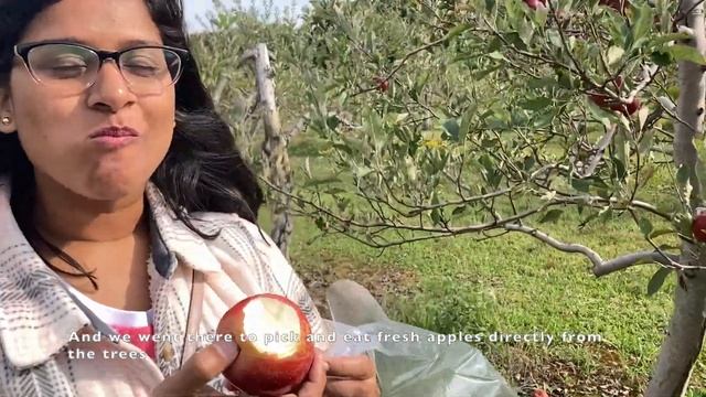 অক্টবোর মানেই ফার্মে ঘুরতে যাওয়ার সময় হাজির, Visiting farm for apple picking and pumpkin, Ohio, USA смотреть онлайн