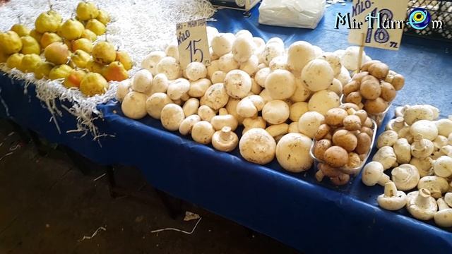 Турецкий базар подробно и попутные впечатления :) г. Измир, р-н Измирспор, 18.02.21 смотреть онлайн
