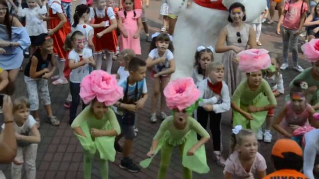 Аэромедведи в Бресте танцуют Despacito смотреть онлайн