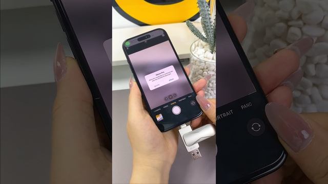 Auto backup iPhone-Only backup newly contents next time #iphonefiletransfer #iphonedatatransfer смотреть онлайн