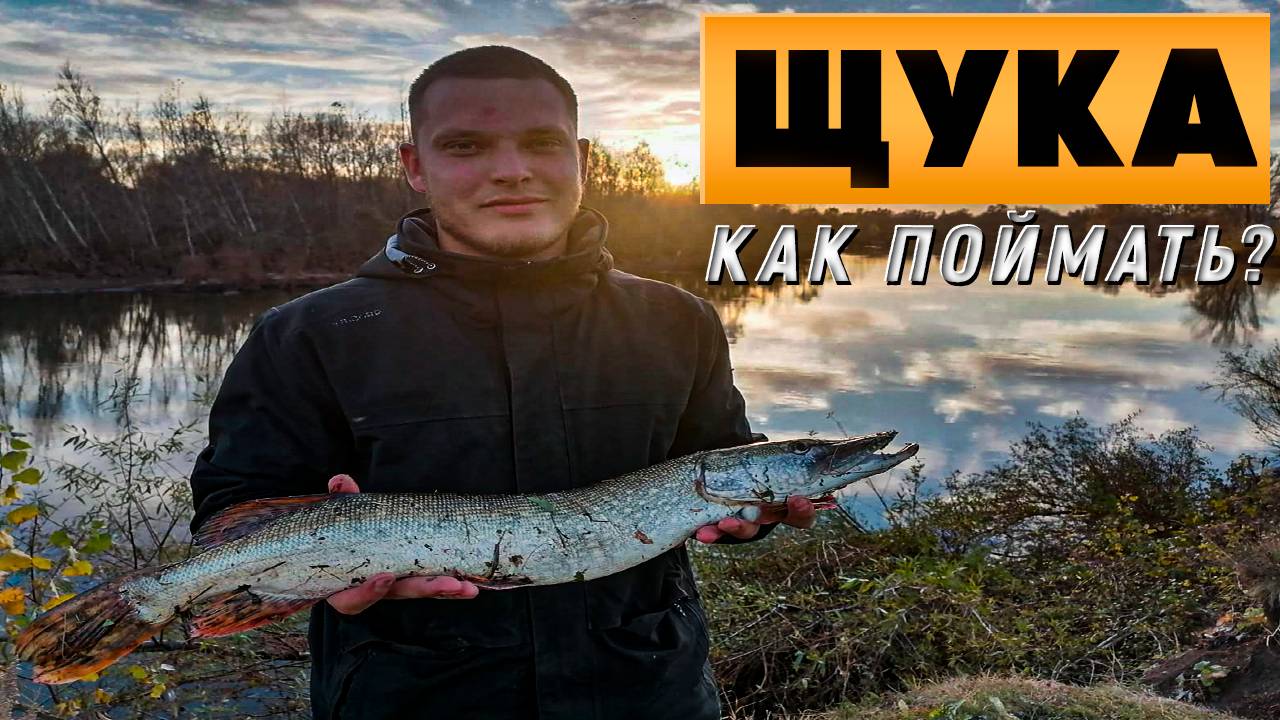 ОСЕНЬ -  ВРЕМЯ ЩУКИ!!! Как легко поймать щуку на спиннинг! #рыбалка #ловлящуки #щукаосенью