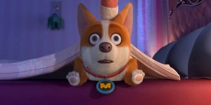 Корги по имени Моко. Простые истории, 68 серия. Тепло или нет?