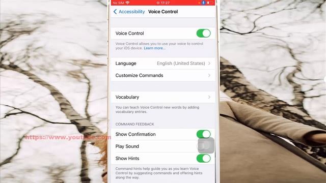 How to turn off assistive touch feature in iPhone 7 with your voice or voice command смотреть онлайн