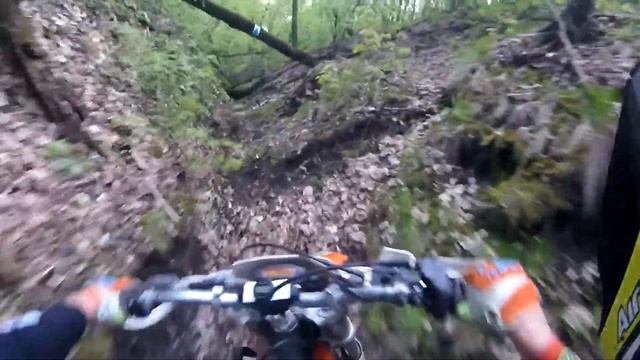 Бурелом 2017 смотреть онлайн