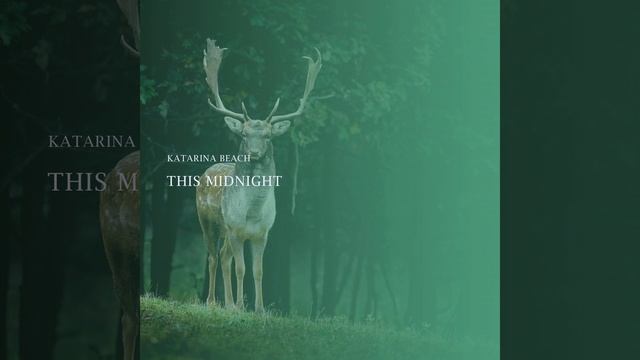 This Midnight смотреть онлайн