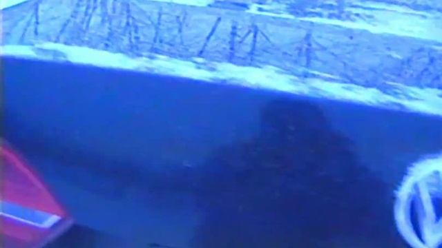 Топ афера в Ящерской карьере #академег