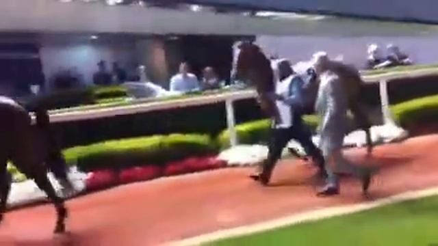 Scighera on Meydan racecourse смотреть онлайн