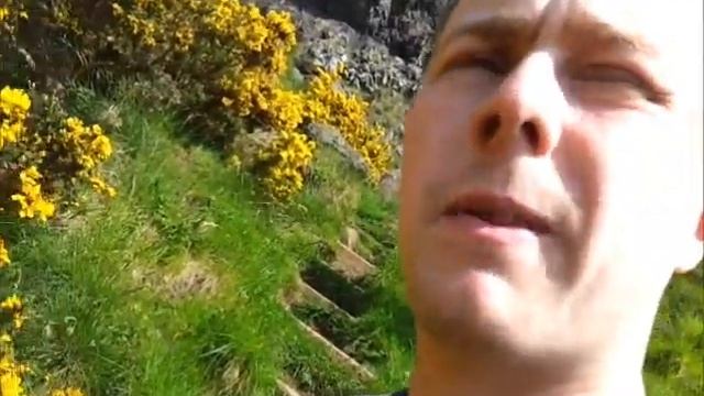 Wild Edibles/food U.K. - May - Gorse Petals and a walk up Arthurs seat in Edinburgh смотреть онлайн