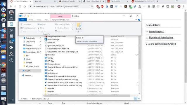 MULT1913#2460 Extracting zip file on Windows for importing смотреть онлайн