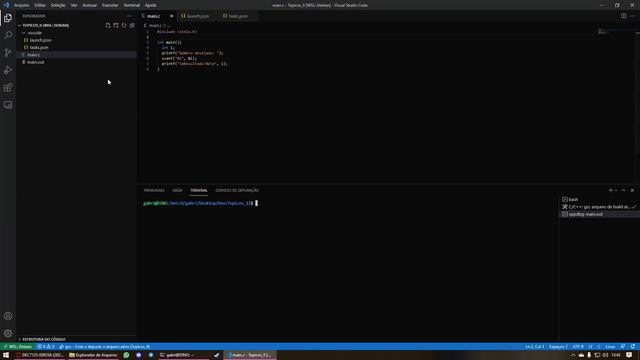 Instalando e configurando Gcc/G++ e gtest no WSL com VSCode смотреть онлайн
