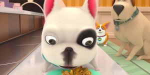 Корги по имени Моко. Домашние животные 2, 3 серия. Новый год