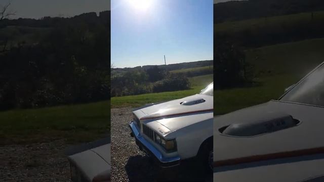 1977 pontiac can am смотреть онлайн