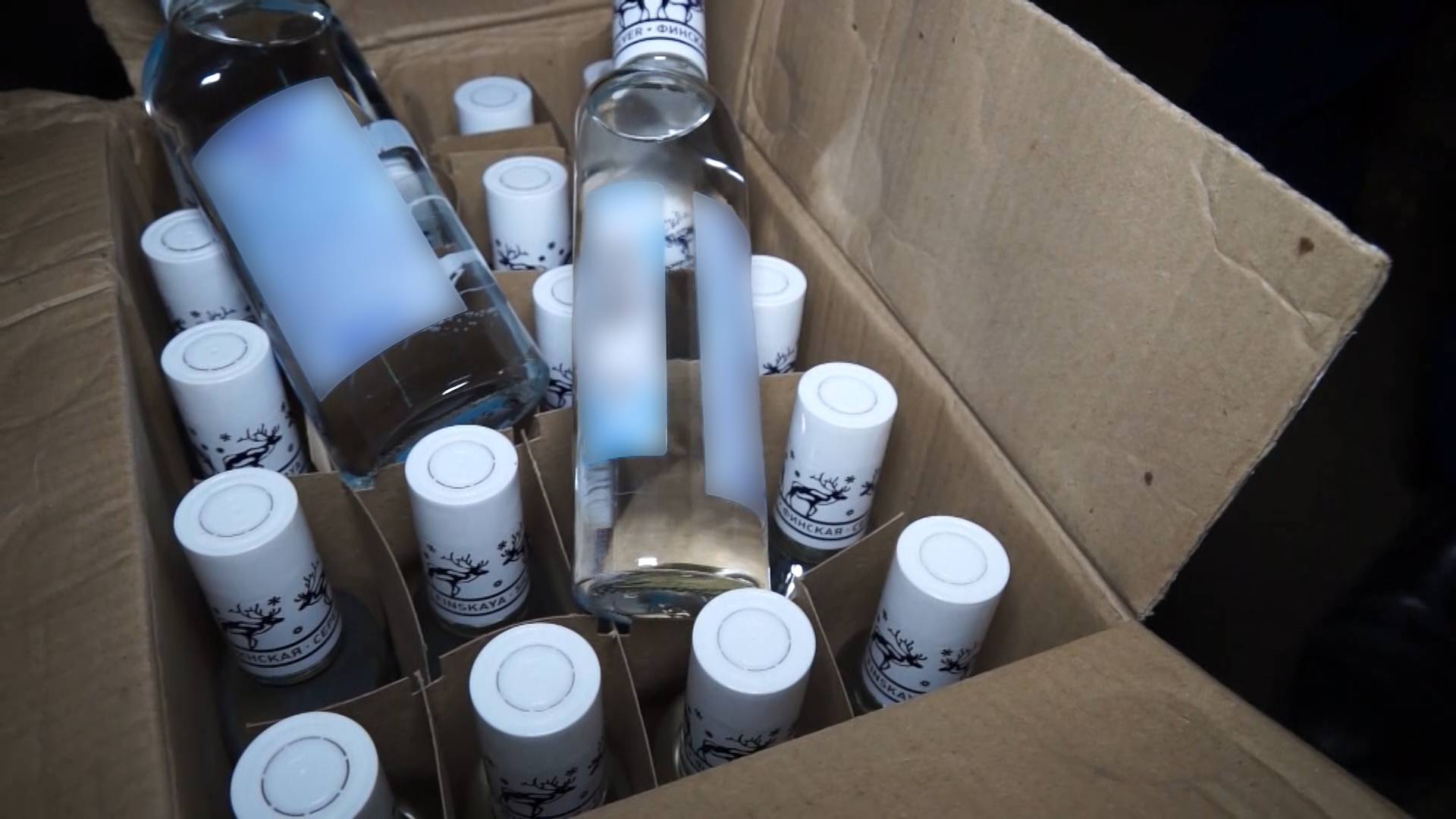 Масс-Медиа Камчатка