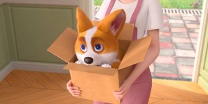 Корги по имени Моко. Простые истории, 26 серия. Милый щеночек 