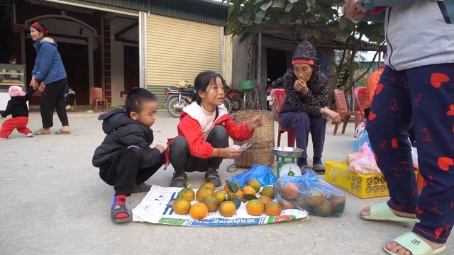 Full Poor Girl. Harvest Gac Fruit, Oranges, Grapefruit To Sell