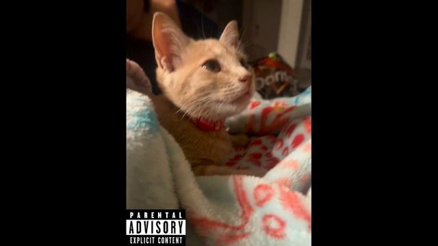 Patrick Come Home 2 - A Money / Sticky Nicky / Chauncey Billups смотреть онлайн