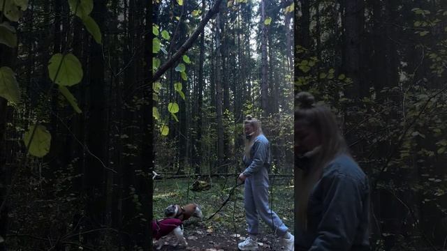 Не забудь подписаться❤️ #shorts #rascvetalova #вокруглиски