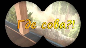 Инди-хоррор The Bird Watch (Наблюдая за птицами). Вроде бы невинное хобби может обернуться кошмаром!