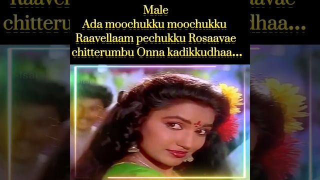 Chinna raasave chitherumbu…/ Karaoke for female singers/ Walter Vetrivel/ Illaiyaraja смотреть онлайн