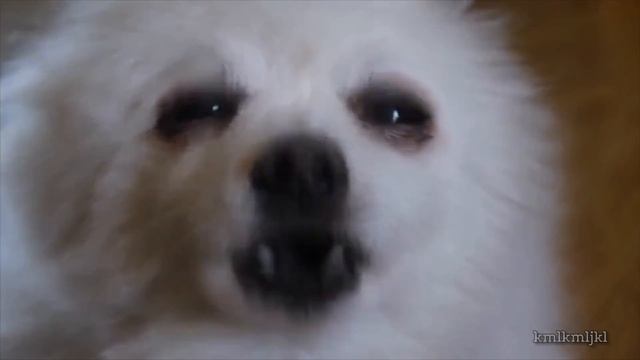 content aware scale test смотреть онлайн