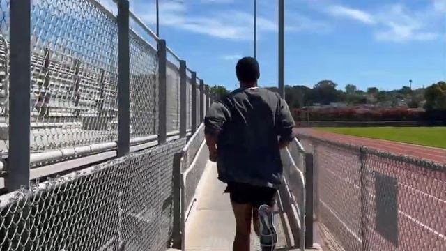 Apple IPhone 14 128 GB   Azzurro  Amazonit Elettronica