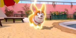 Корги по имени Моко. Домашние животные 2, 69 серия. Косточка