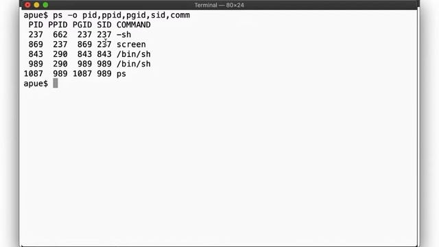 Advanced Programming in the UNIX Environment: Week 07, Segment 2 - Process Groups and Sessions смотреть онлайн