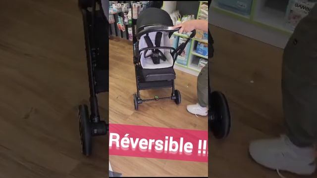 Poussette Réversible Z6 Babystone