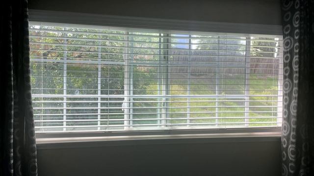 Will Keep The Windows Open To Let The Germs Out смотреть онлайн