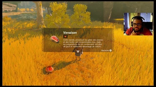 Ep. 1-2 | L'aventure commence ! Zelda TOK смотреть онлайн