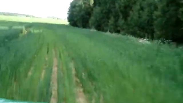 едем по полю смотреть онлайн
